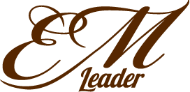 logo_leader_consulting